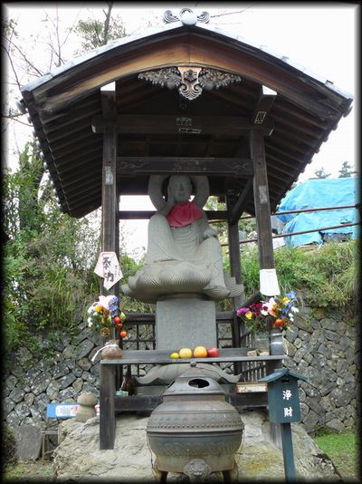 �����n����