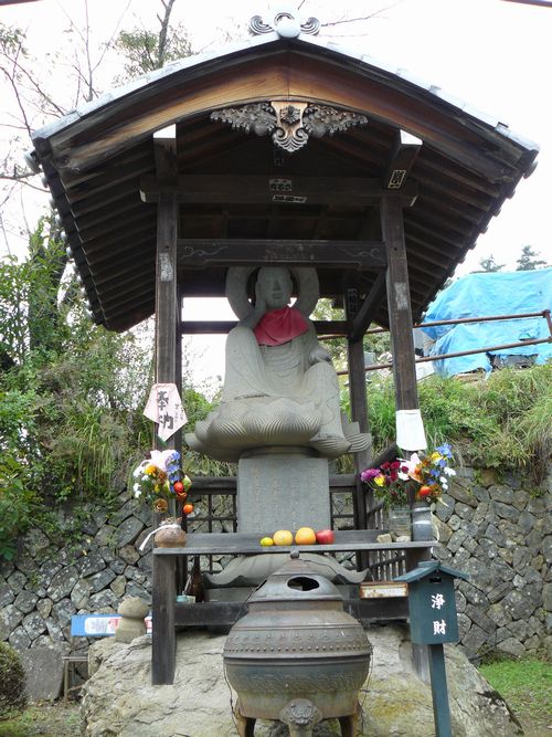 �����n����