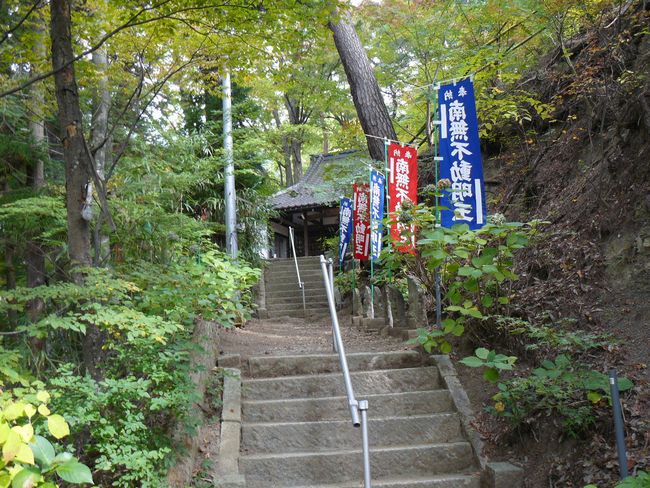 �剹���s����