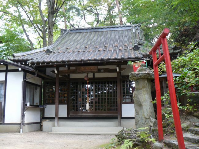 �剹���s����