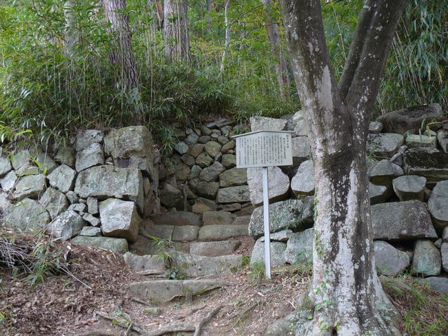 ���}���ƕ揊