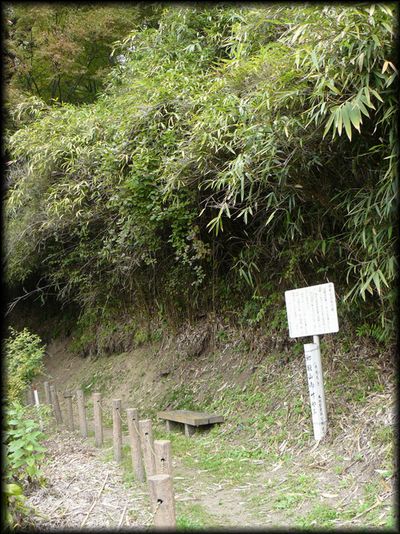 ��a�R�̒|��