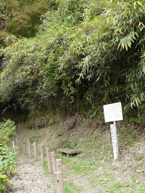 ��a�R�̒|��