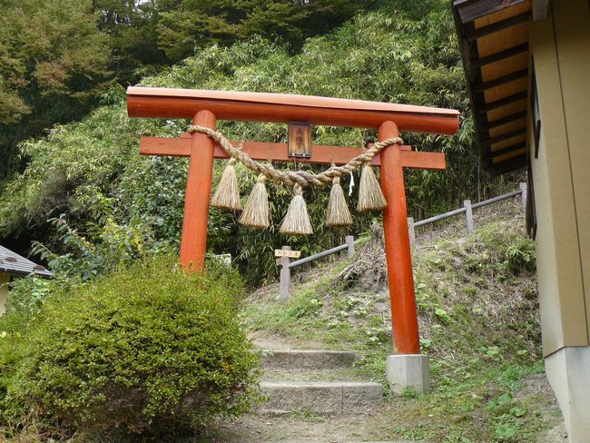 ��a�R�V���{