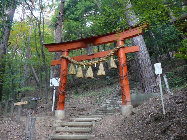 ��a�R�V���{