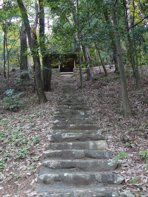 ��a�R�V���{