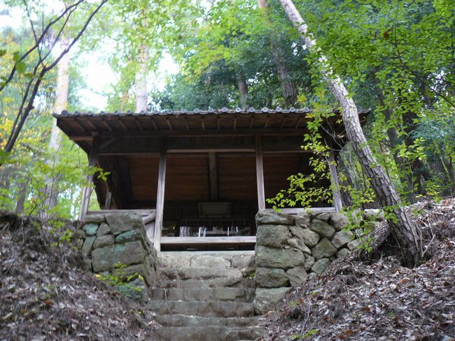 ��a�R�V���{