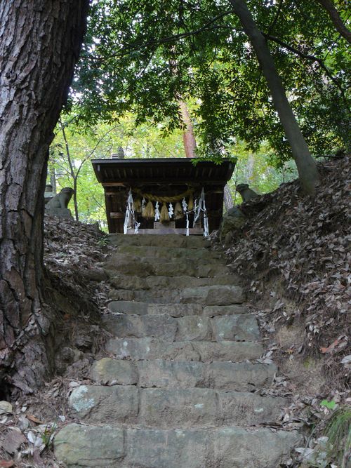 ��a�R�V���{