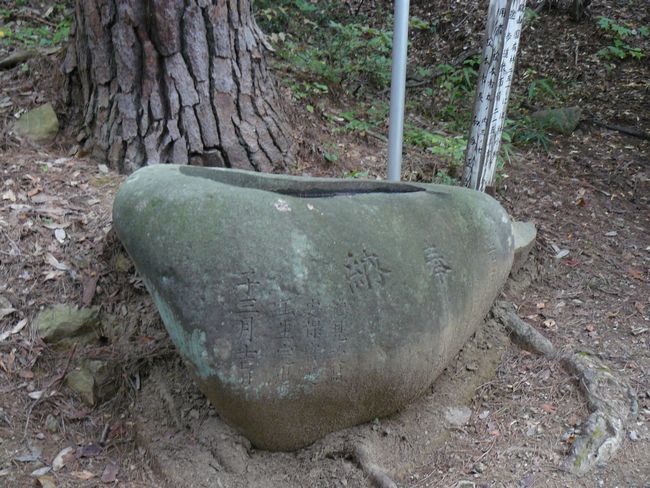 ��a�R�V���{