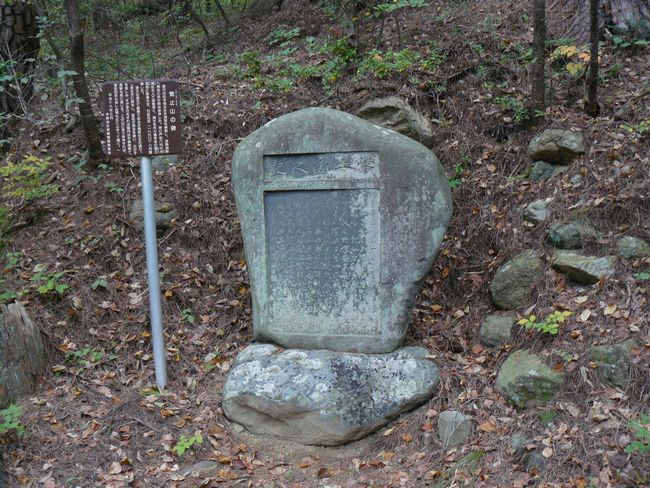 ��a�R�V���{