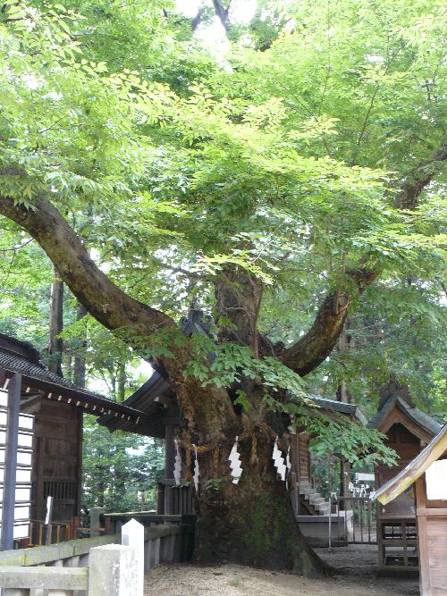 �䍂�_�ЁE�O