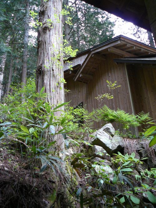 �R�_�ЁE�{�a