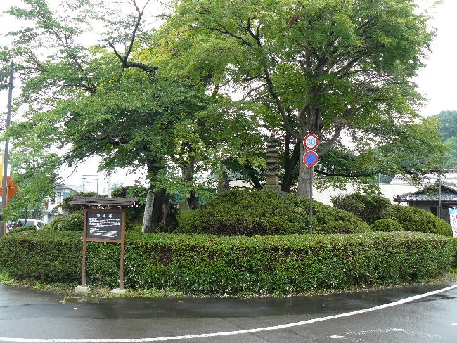 �ʏ�����F���R�ˁE�S�i