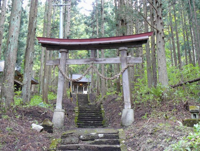 �S�_�ЁE����