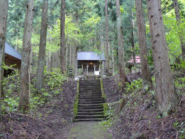 �S�_�ЁE�Q��