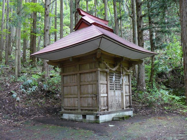 �S�_�ЁE������