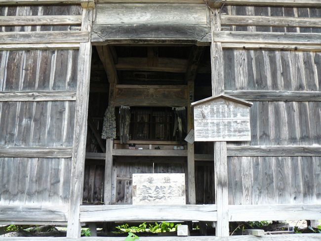 �����t���E����