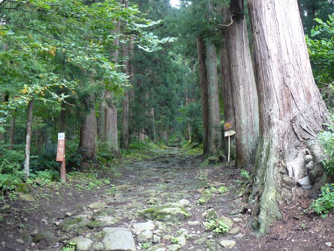 �����_�Љ���