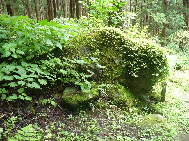 �����_�Љ���