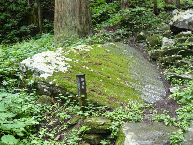 �����_�Љ���