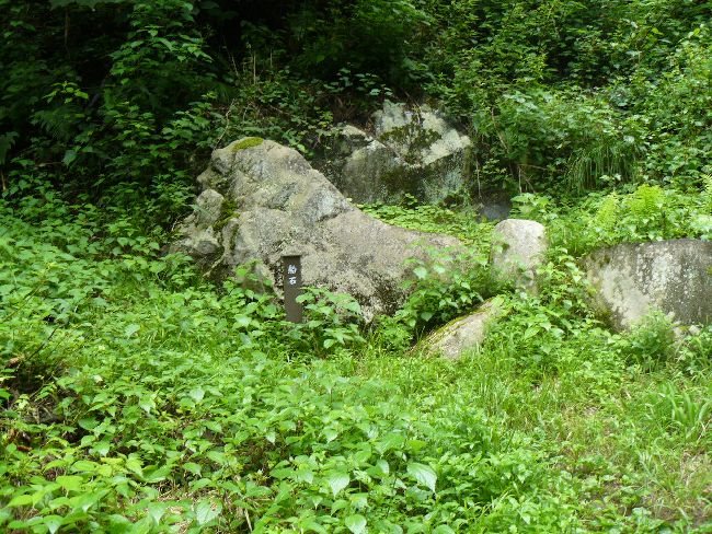 �����_�Љ���