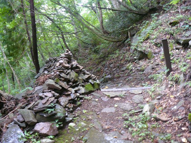 �����_�Љ���