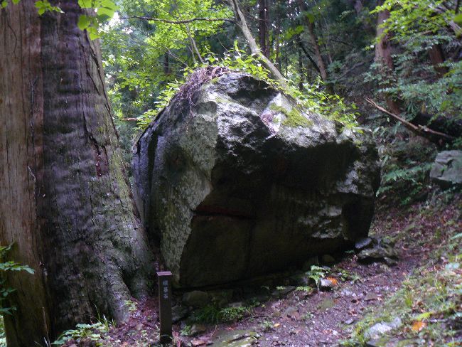 �����_�Љ���