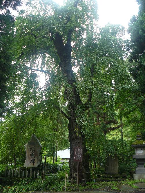 �����_�Ѝ�