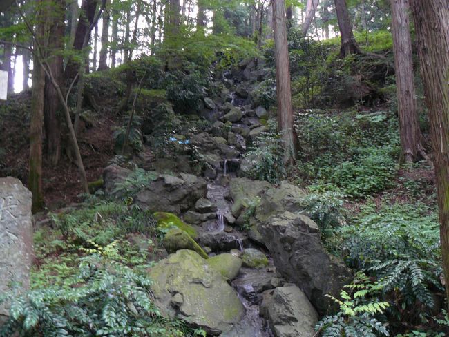 �t���_��