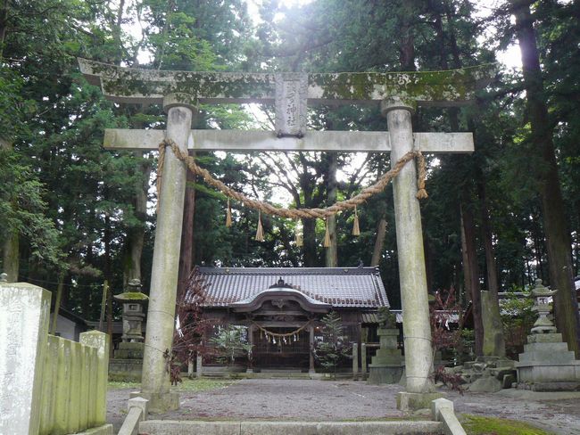 �g�c���F�g���_��