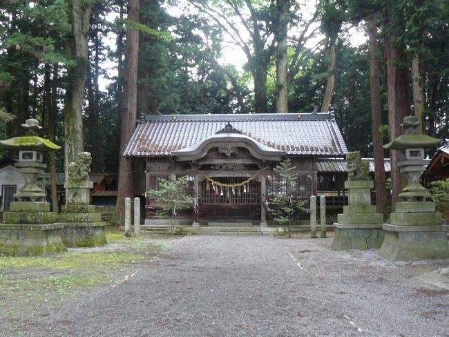 �g�c���F�g���_��