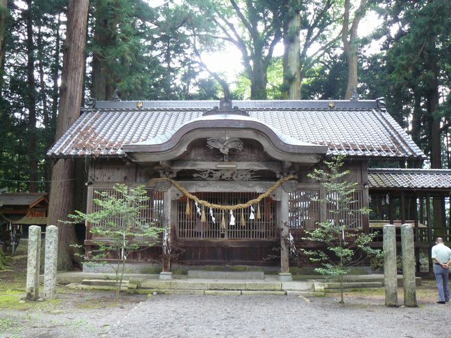 �g�c���F�g���_��