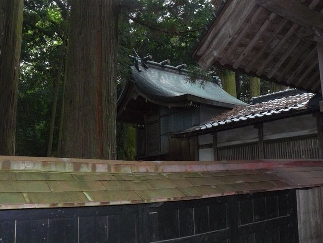 �g�c���F�g���_��