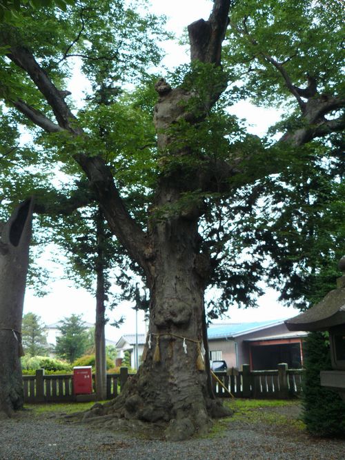 ���֒��F�����_��