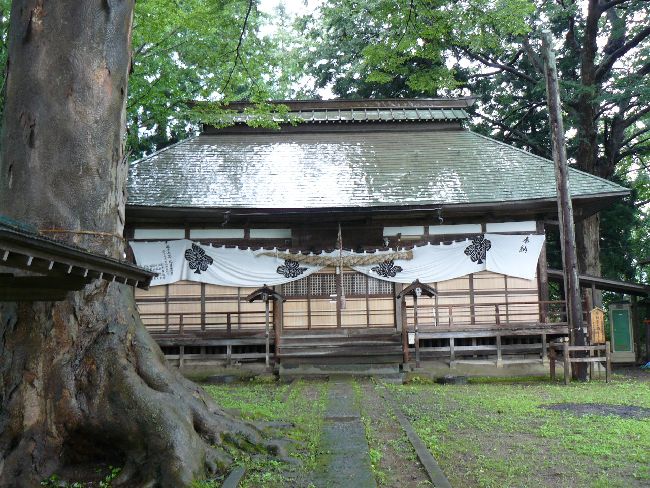 �эj���F����_��