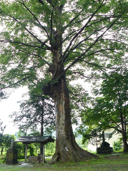 �эj���F����_��