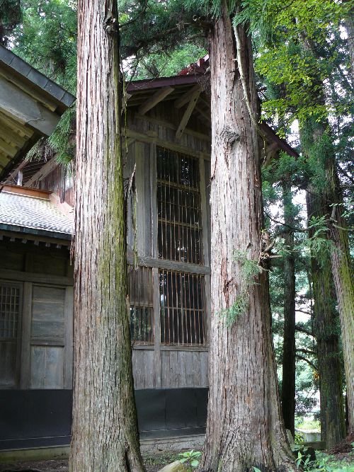 ���쑺�F����_��