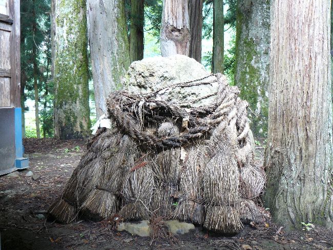 ���쑺�F����_��