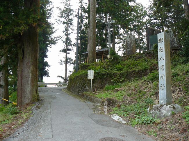 ������_��