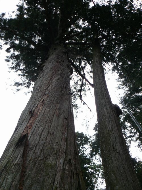 ������_��