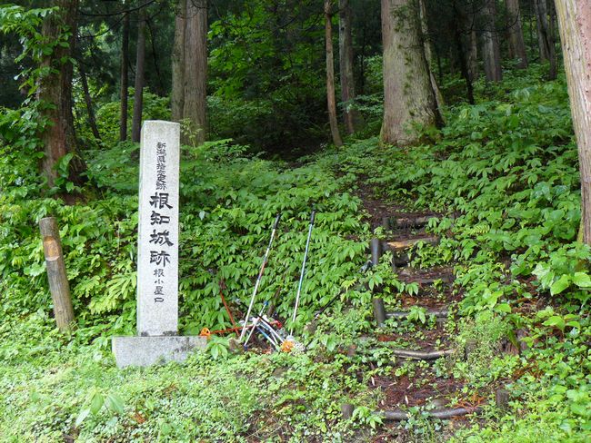 �������E���m��