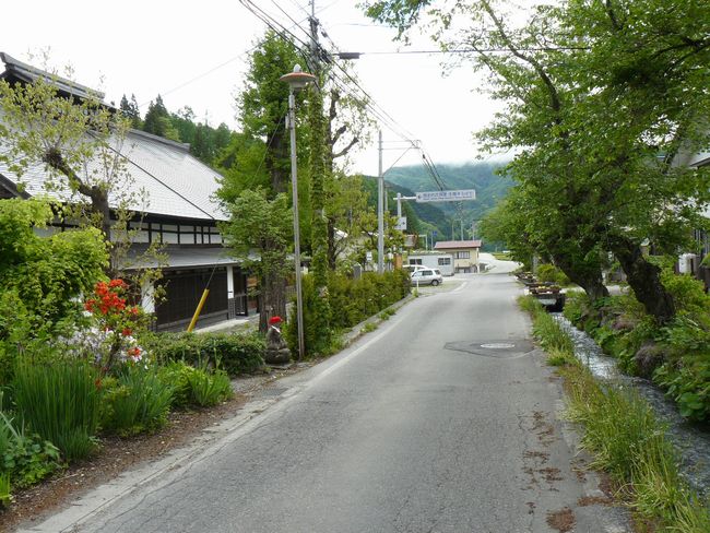 �����V�c�h