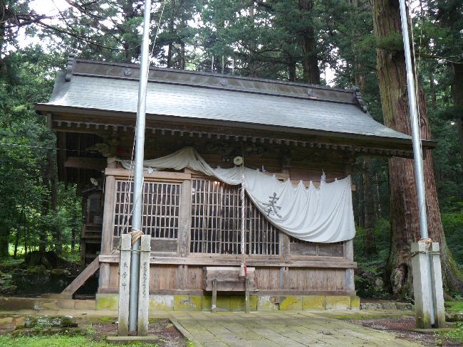 ���h�E���J��_���{