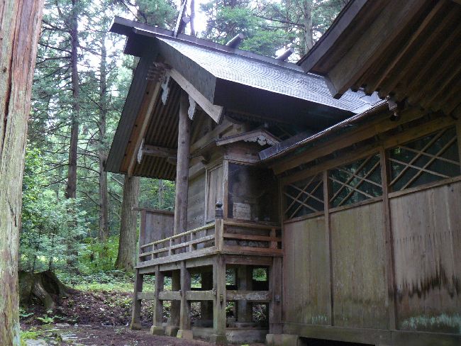 ���h�E���J��_���{