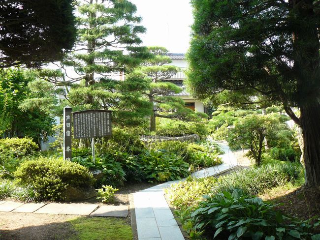 ���R���i�M�Z�H�j�F���c�h�|�{�w�i�y���ƏZ��j