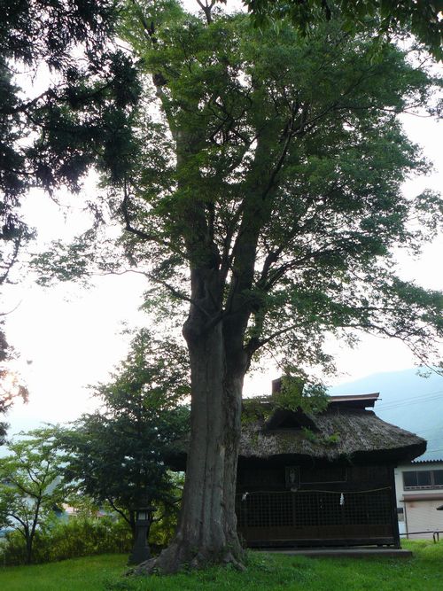 ���R���i�M�Z�H�j�F�a�c�h�|�����_��