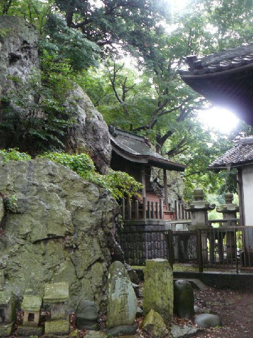 �P�����X���i�k���X���j�F�l�h�|��n���Y�_��