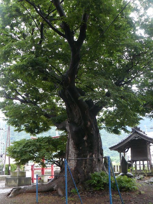 �P�����X���i�k���X���j�F�l�h�|��n���Y�_��