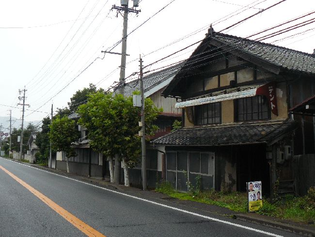 ���R���F�l�h�|������