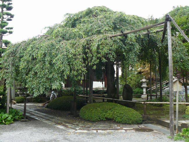 �ؑ]�������E���T��